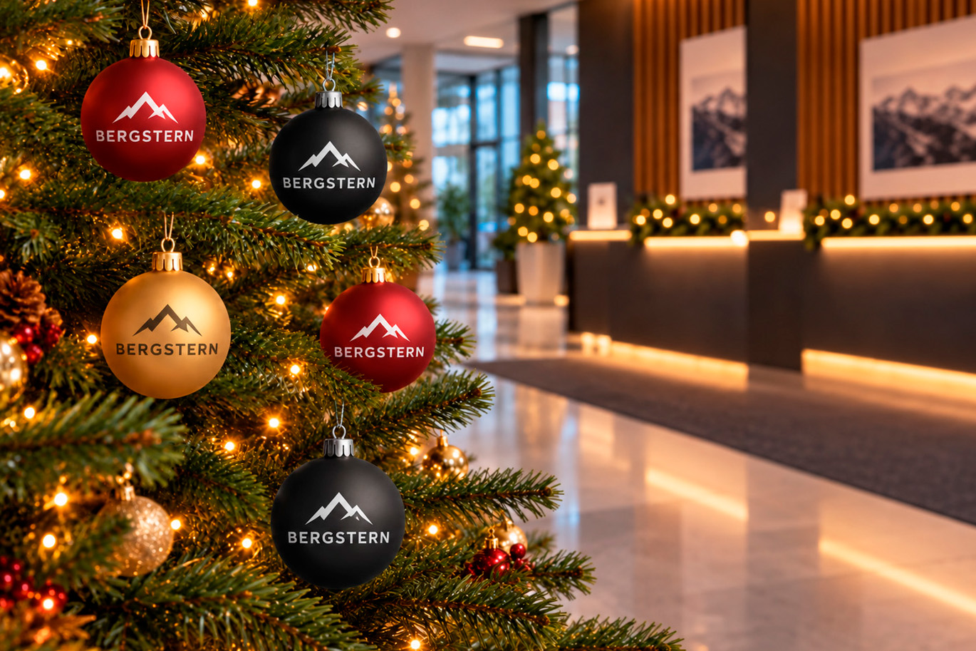 Entdecker Weihnachtskugeln
