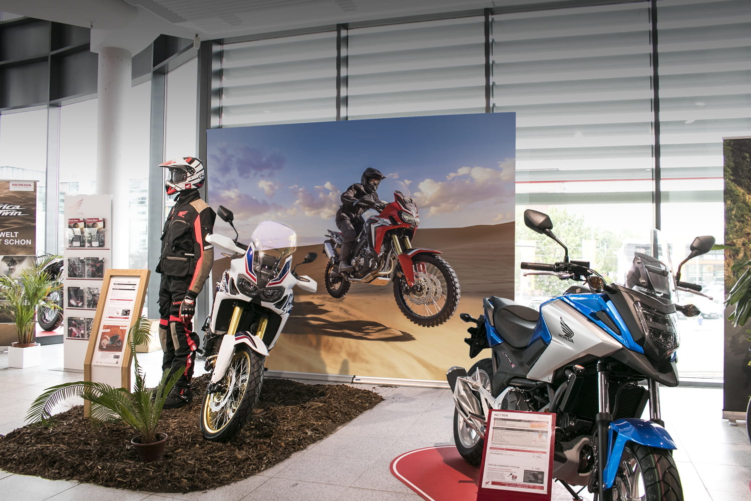 Easywall Flex Backwall Messewand Large Große Messewand Easywall Flex Backwall von ENTDECKER in Blau mit Logo.