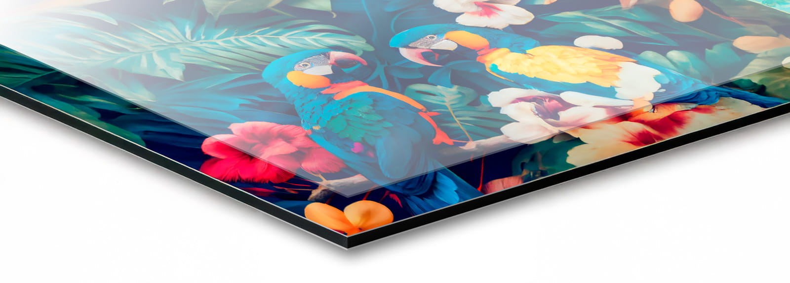 Beschichtung zeigt eine glänzende Oberfläche mit bunten Papageien und tropischen Pflanzen.