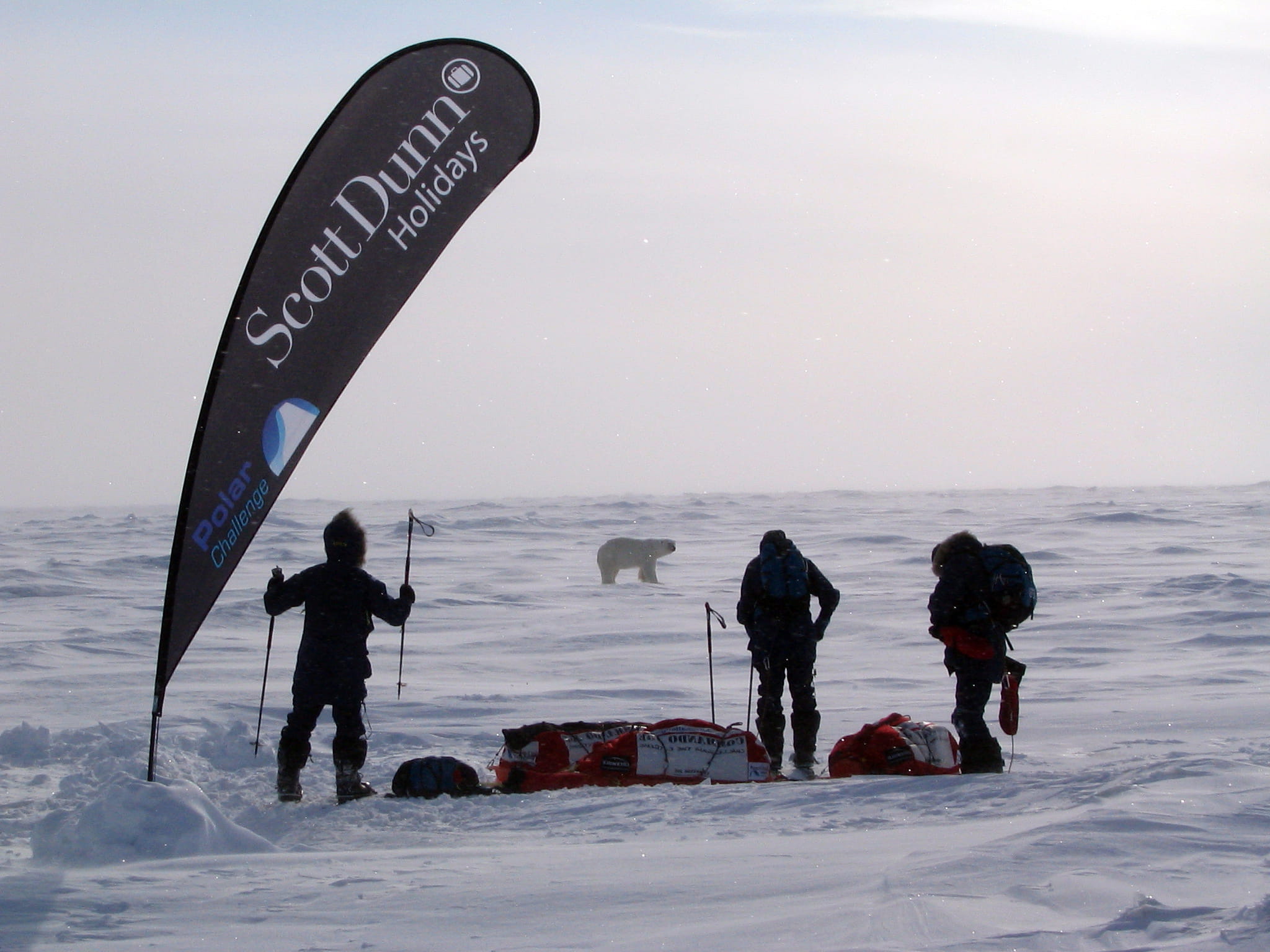 Expedition im Schnee mit Scott Dunn Holidays Banner Zwei Personen im Schnee mit Ausrüstung, während ein Bär in der Ferne sichtbar ist. Ein Banner mit der Aufschrift 'Scott Dunn Holidays' weht im Wind.
